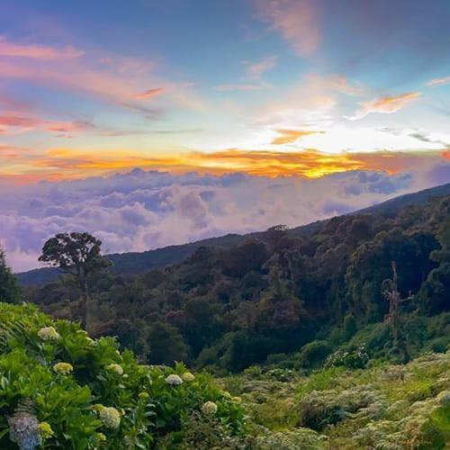 Lagunillas Del Poas Poasito ภายนอก รูปภาพ
