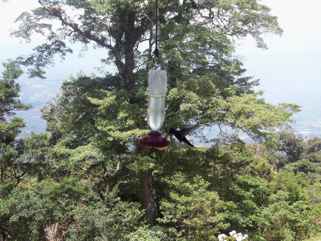 Lagunillas Del Poas Poasito ห้อง รูปภาพ