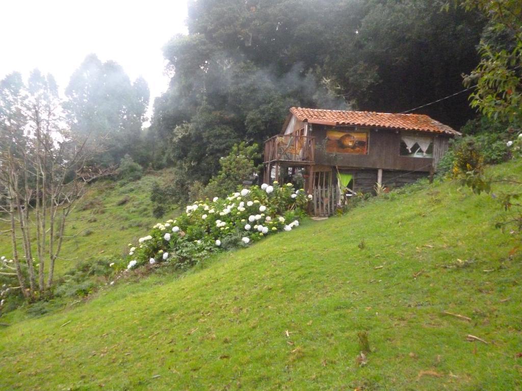 Lagunillas Del Poas Poasito ภายนอก รูปภาพ