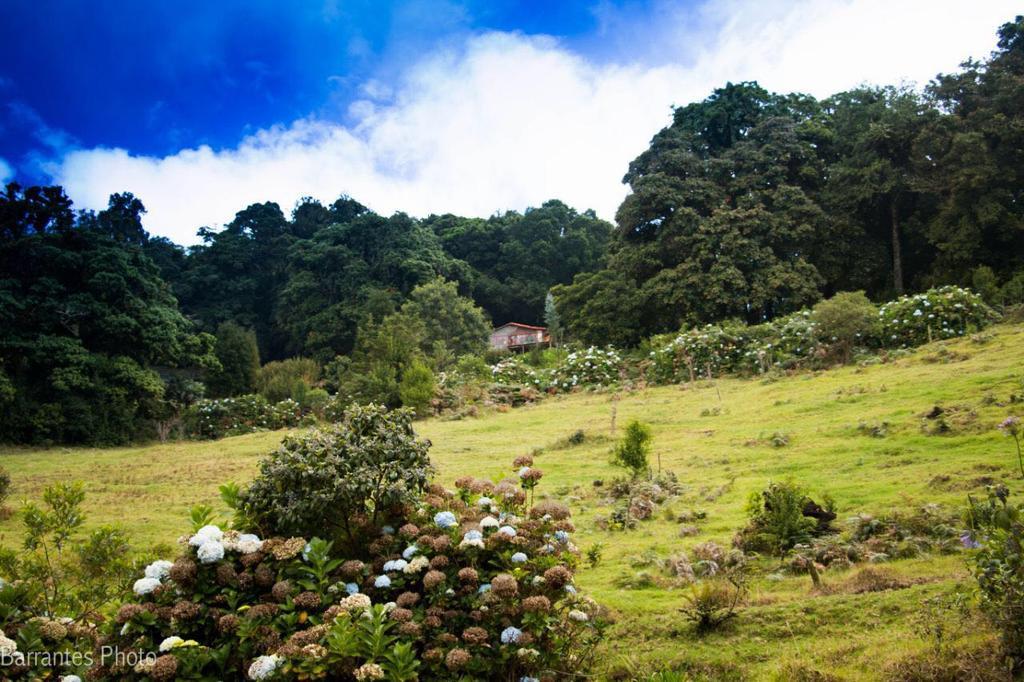 Lagunillas Del Poas Poasito ภายนอก รูปภาพ